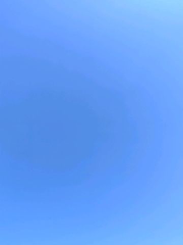动态图片