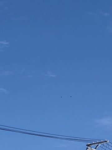 动态图片
