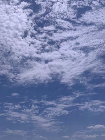动态图片