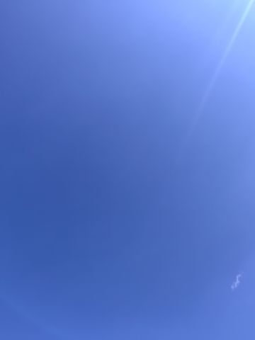 动态图片