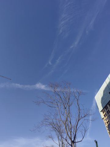 动态图片