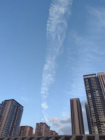 动态图片