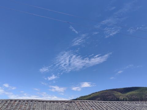 动态图片