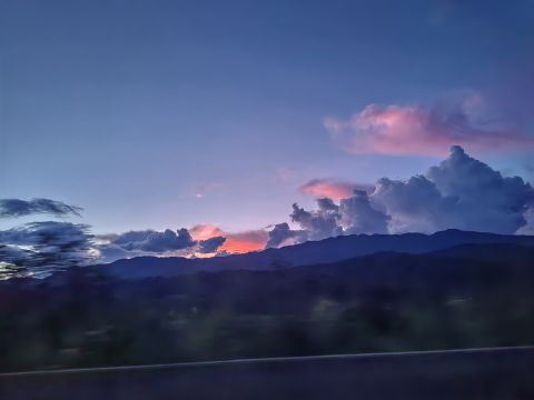 动态图片