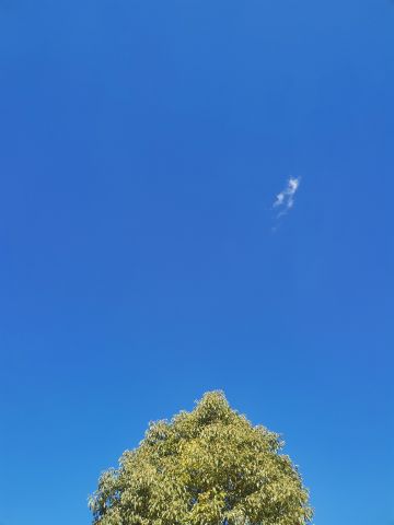 动态图片