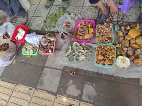 动态图片