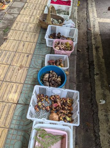 动态图片