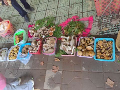动态图片