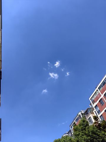 动态图片
