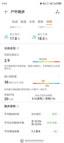 动态图片