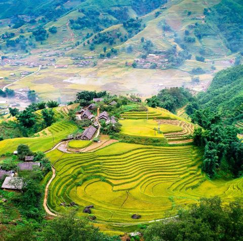 动态图片