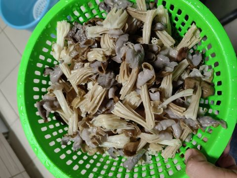 动态图片