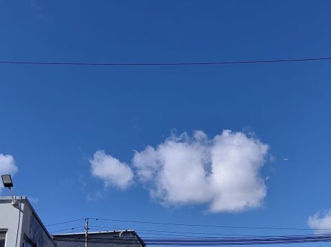 动态图片