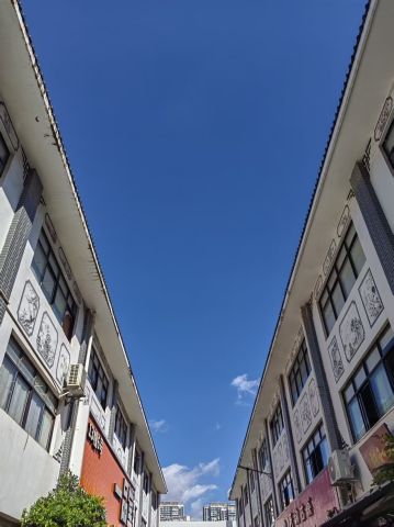 动态图片
