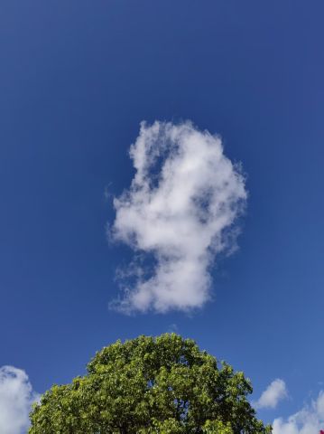 动态图片