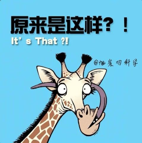 动态图片
